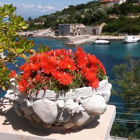 By The Sea Cove Donja Kruscica - Donja Krusica, Solta - 11146