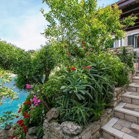 By The Sea Cove Donja Kruscica - Donja Krusica, Solta - 11146 *