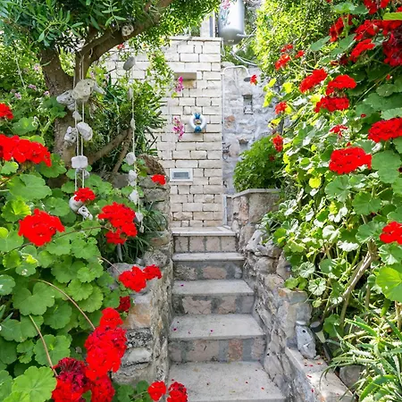 Apartment By The Sea Cove Donja Kruscica - Donja Krusica, Solta - 11146 Grohote