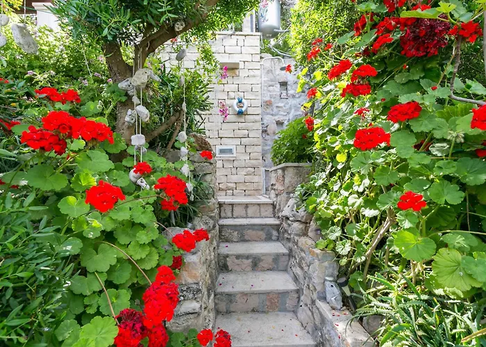 Appartamento By The Sea Cove Donja Kruscica - Donja Krusica, Solta - 11146 Grohote