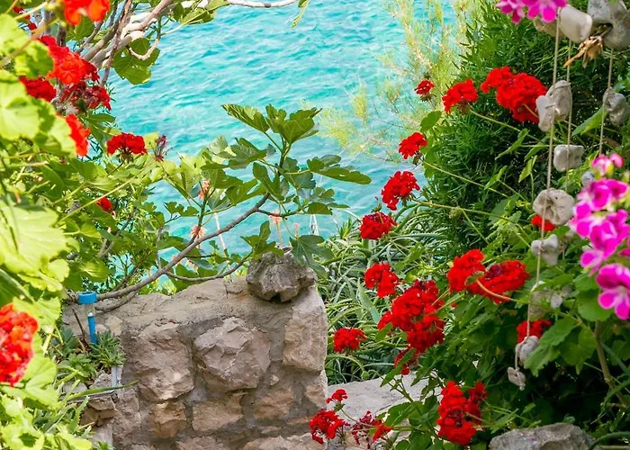 Appartamento By The Sea Cove Donja Kruscica - Donja Krusica, Solta - 11146 *